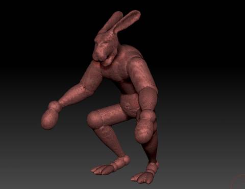 forme generali del modello