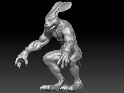 forma generale della muscolatura