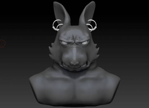 primo volto del coniglio