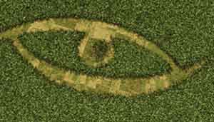 cerchi-nel-grano-veri-o-finzioni