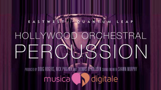 Le Hollywood Percussions