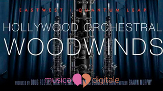 Gli Hollywood Woodwinds