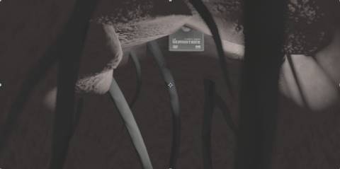 originale dello scenario 3D