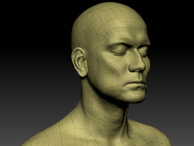 Scultura del viso in zBrush