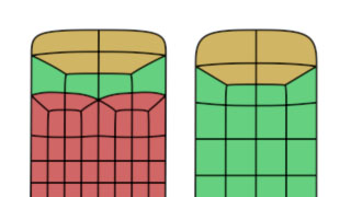 Riduzione dei poligoni nella topologia