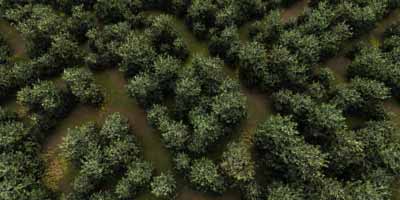 Rendering-finale-paesaggio-Vue-Infinite